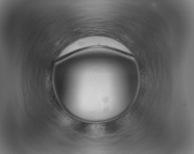 X0000054390327200508121639