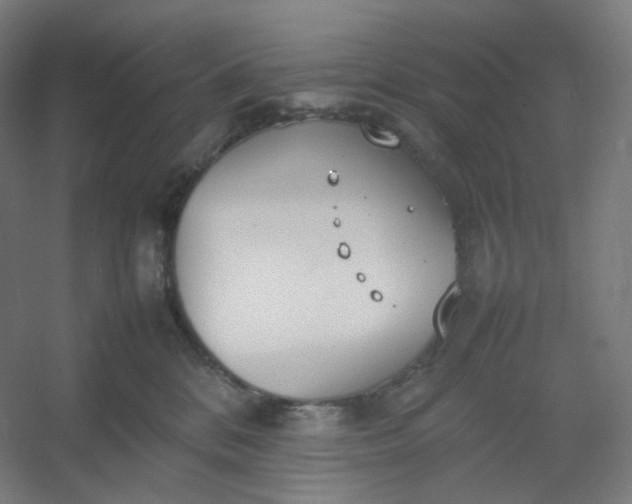 X0000054390328200508121639