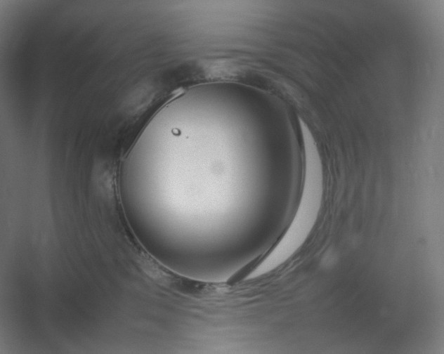 X0000054390329200508121639