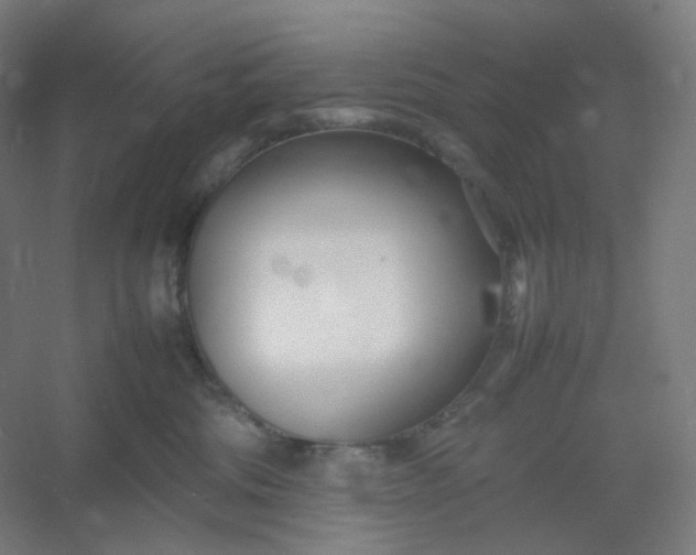 X0000054390330200508121639