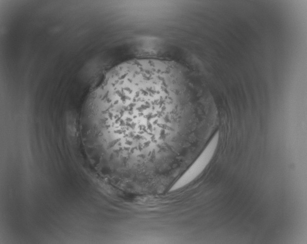 X0000054390331200508121639