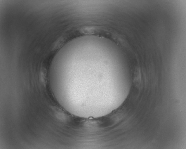 X0000054390332200508121639