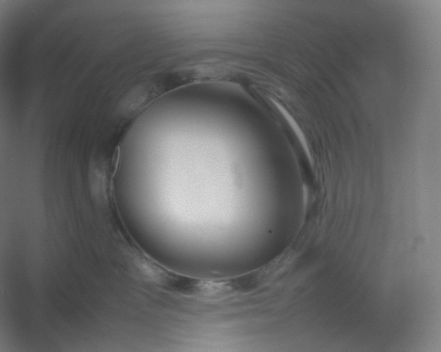 X0000054390333200508121639