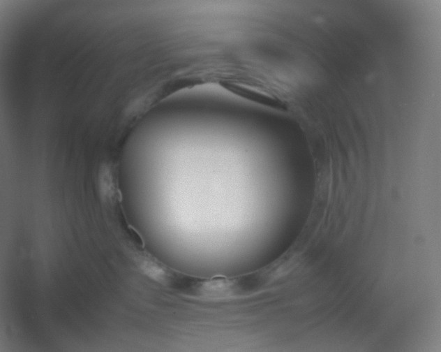 X0000054390335200508121639