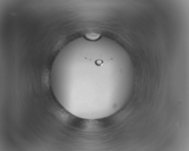 X0000054390336200508121639