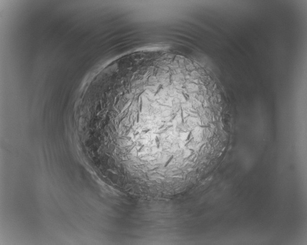 X0000054390337200508121638