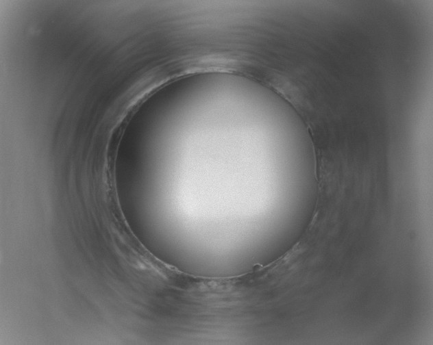 X0000054390338200508121638