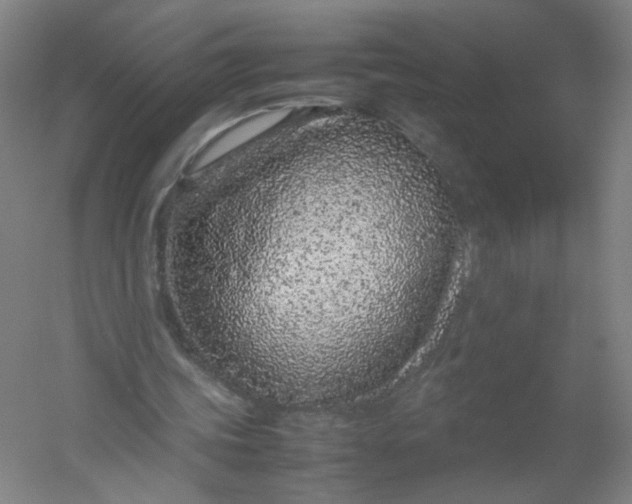 X0000054390339200508121638