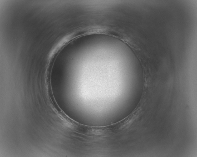 X0000054390341200508121638