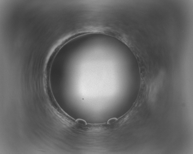 X0000054390342200508121638