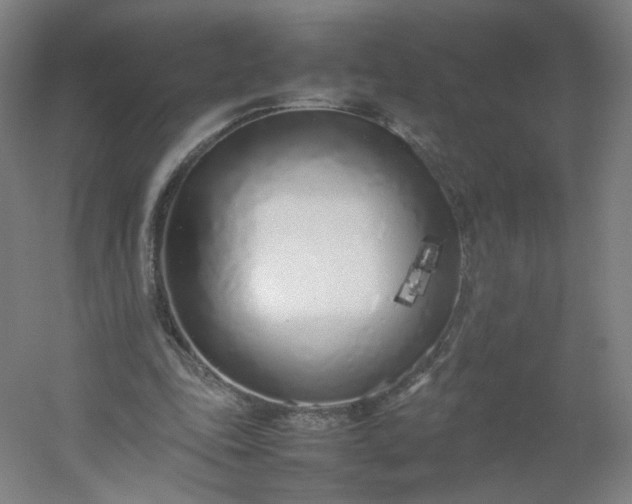 X0000054390343200508121638