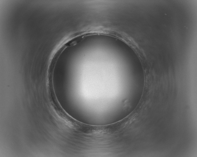 X0000054390344200508121638