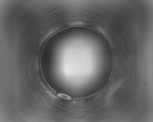 X0000054390345200508121638