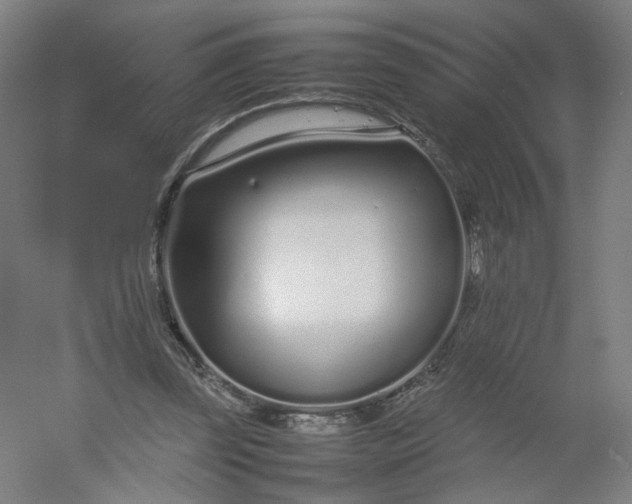 X0000054390347200508121638