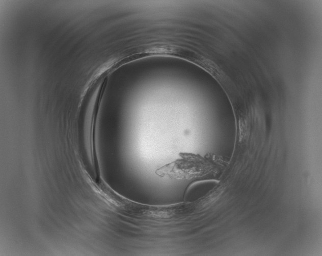 X0000054390349200508121638