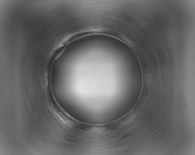 X0000054390350200508121639