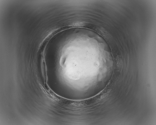 X0000054390351200508121639