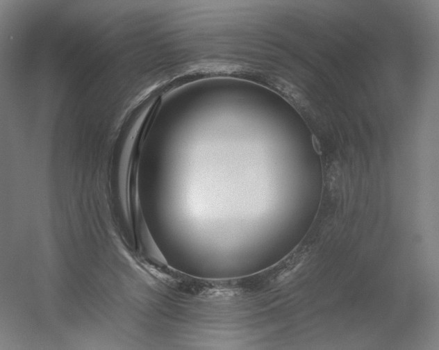 X0000054390352200508121639