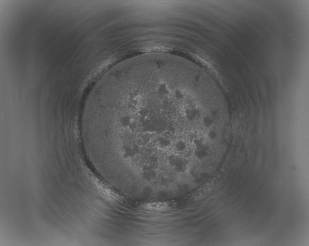 X0000054390353200508121639