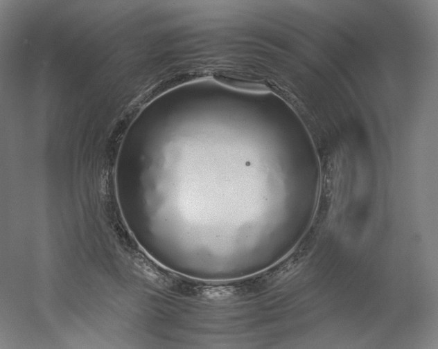 X0000054390355200508121639