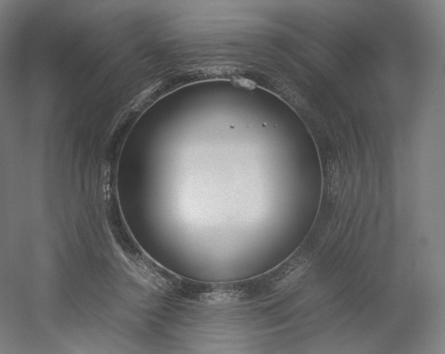 X0000054390356200508121639