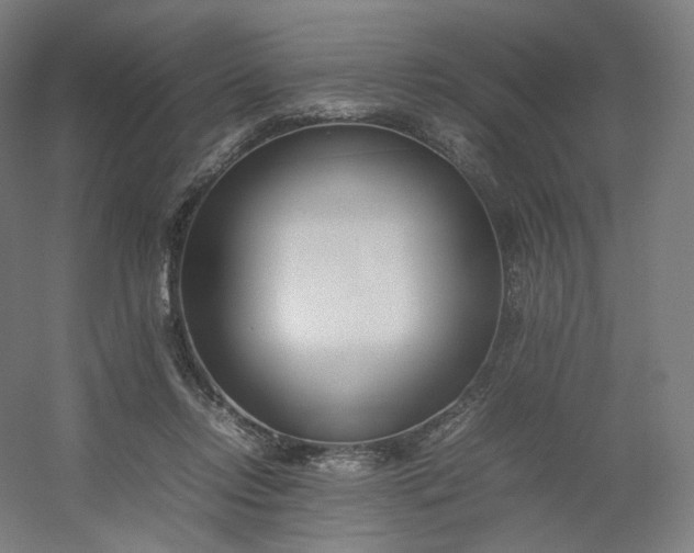 X0000054390358200508121639