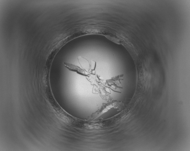 X0000054390359200508121639