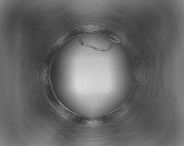 X0000054390360200508121639