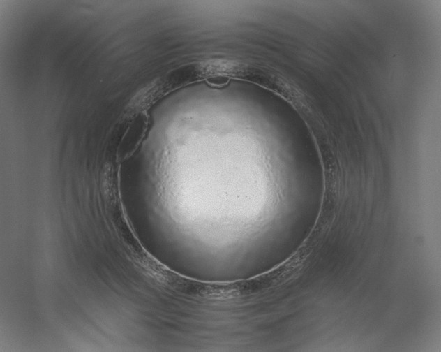 X0000054390361200508121639