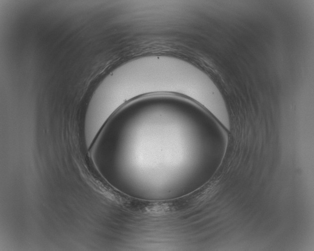 X0000054390362200508121639