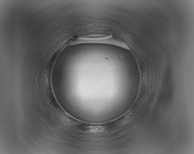 X0000054390363200508121639