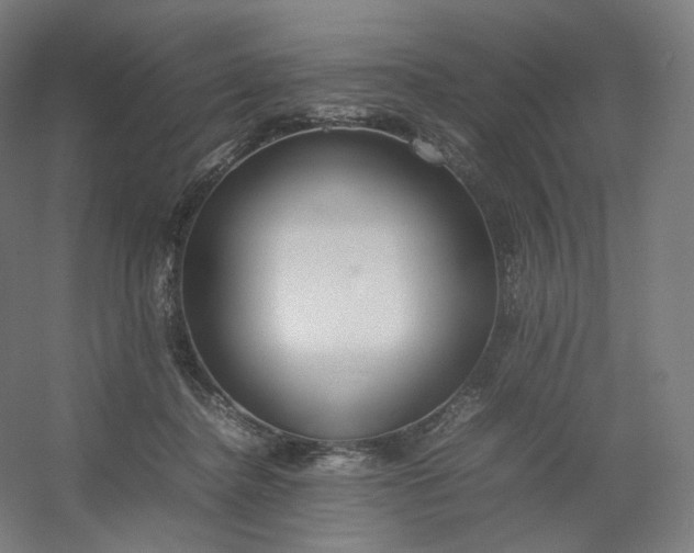 X0000054390364200508121639