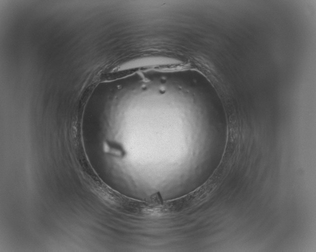 X0000054390365200508121639