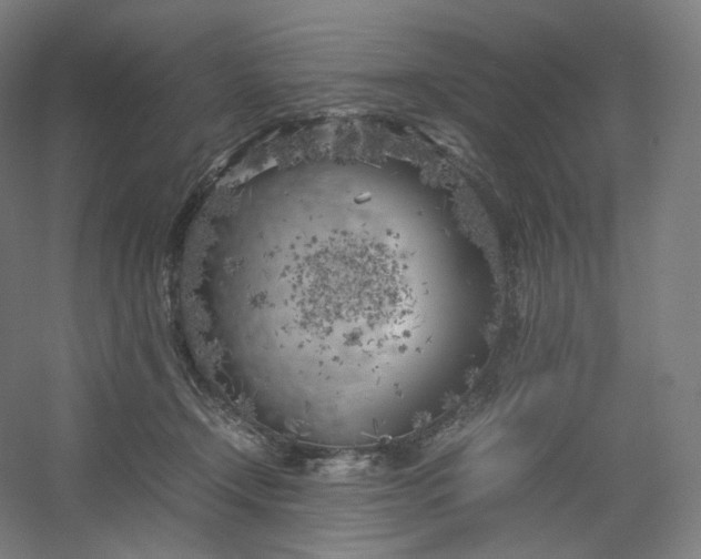 X0000054390366200508121639