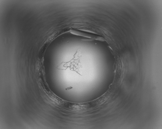 X0000054390367200508121639