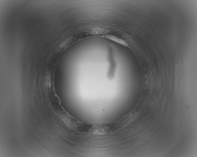 X0000054390368200508121639