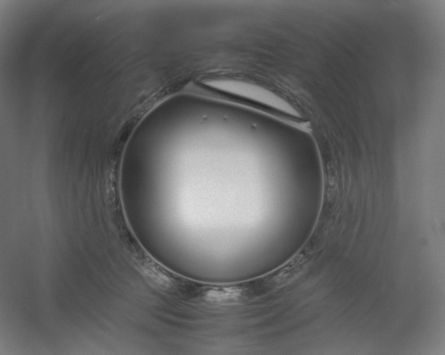 X0000054390369200508121639