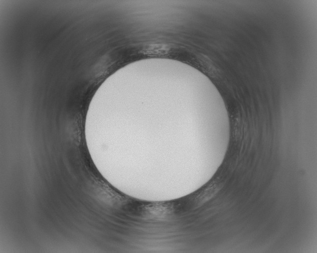 X0000054390370200508121639