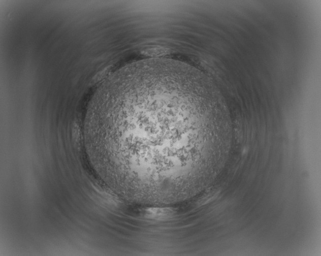 X0000054390371200508121639