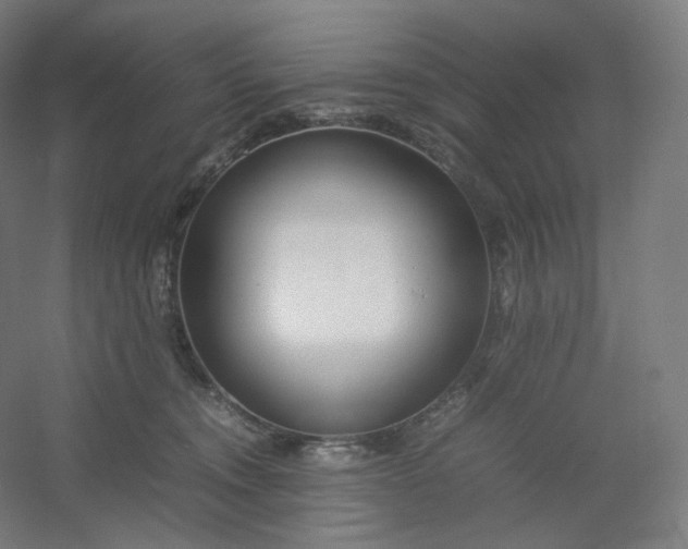 X0000054390372200508121639