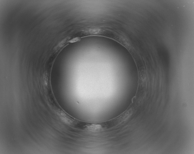 X0000054390374200508121639