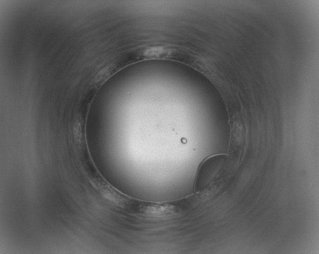 X0000054390375200508121639