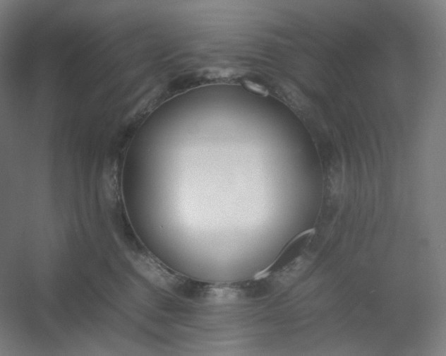 X0000054390376200508121639