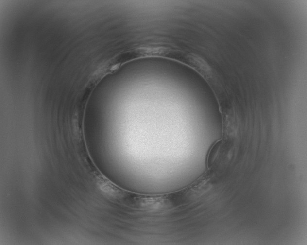 X0000054390377200508121639