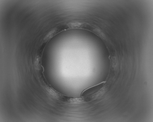 X0000054390378200508121639