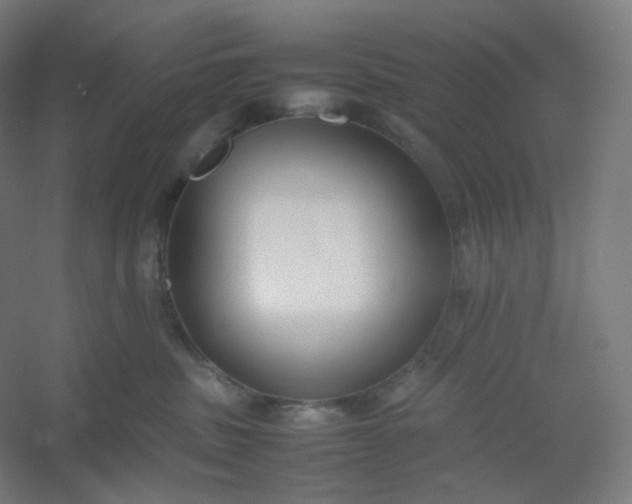 X0000054390379200508121639