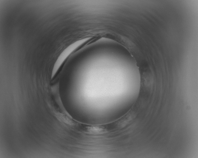 X0000054390380200508121639