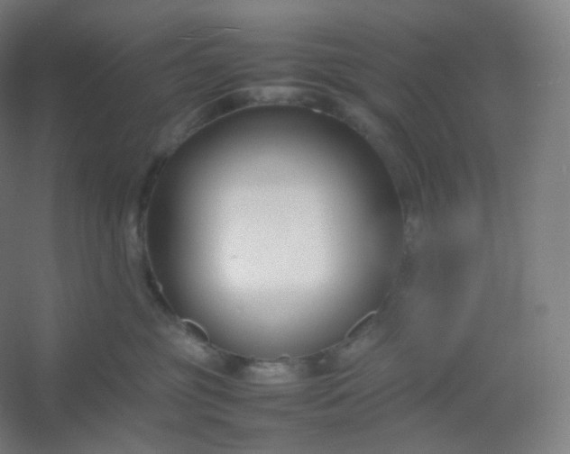 X0000054390381200508121639