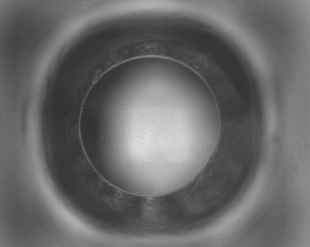 X0000054390382200508121639