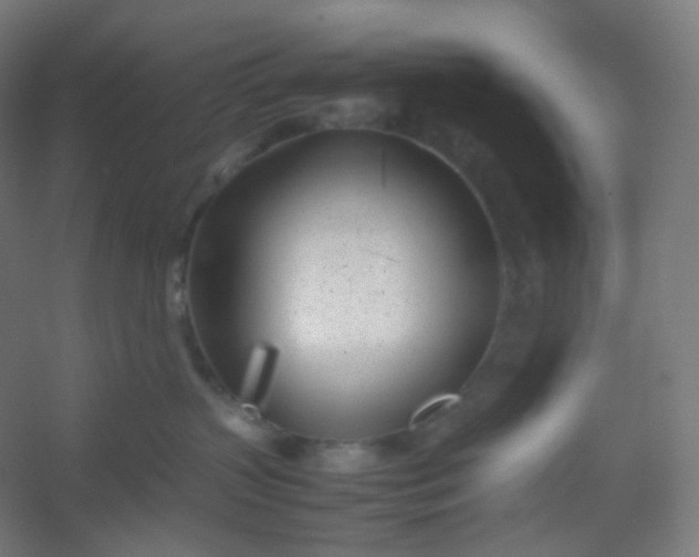 X0000054390383200508121639